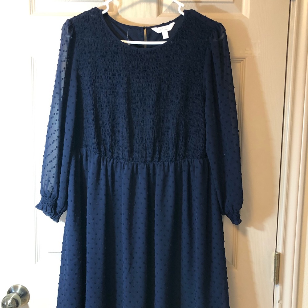 Lauren Conrad large navy blue dress